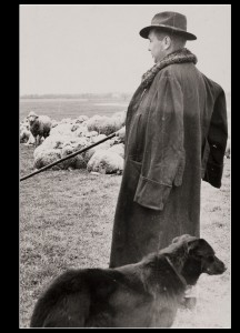 04.Vater mit Herde und Hund jung1